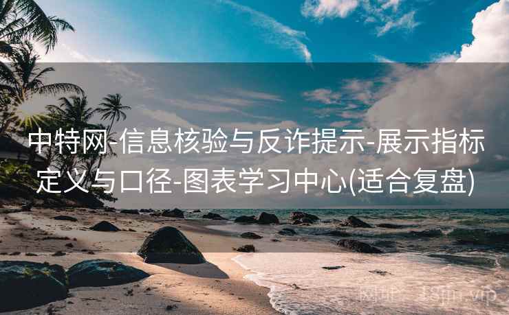 中特网-信息核验与反诈提示-展示指标定义与口径-图表学习中心(适合复盘)
